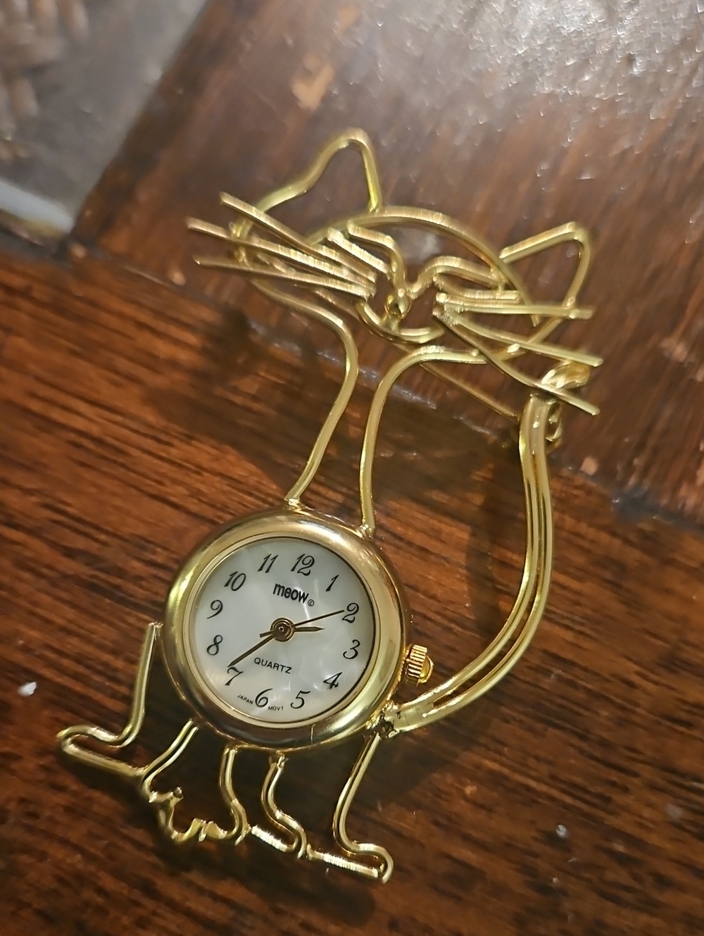 Cat Watch Brooch